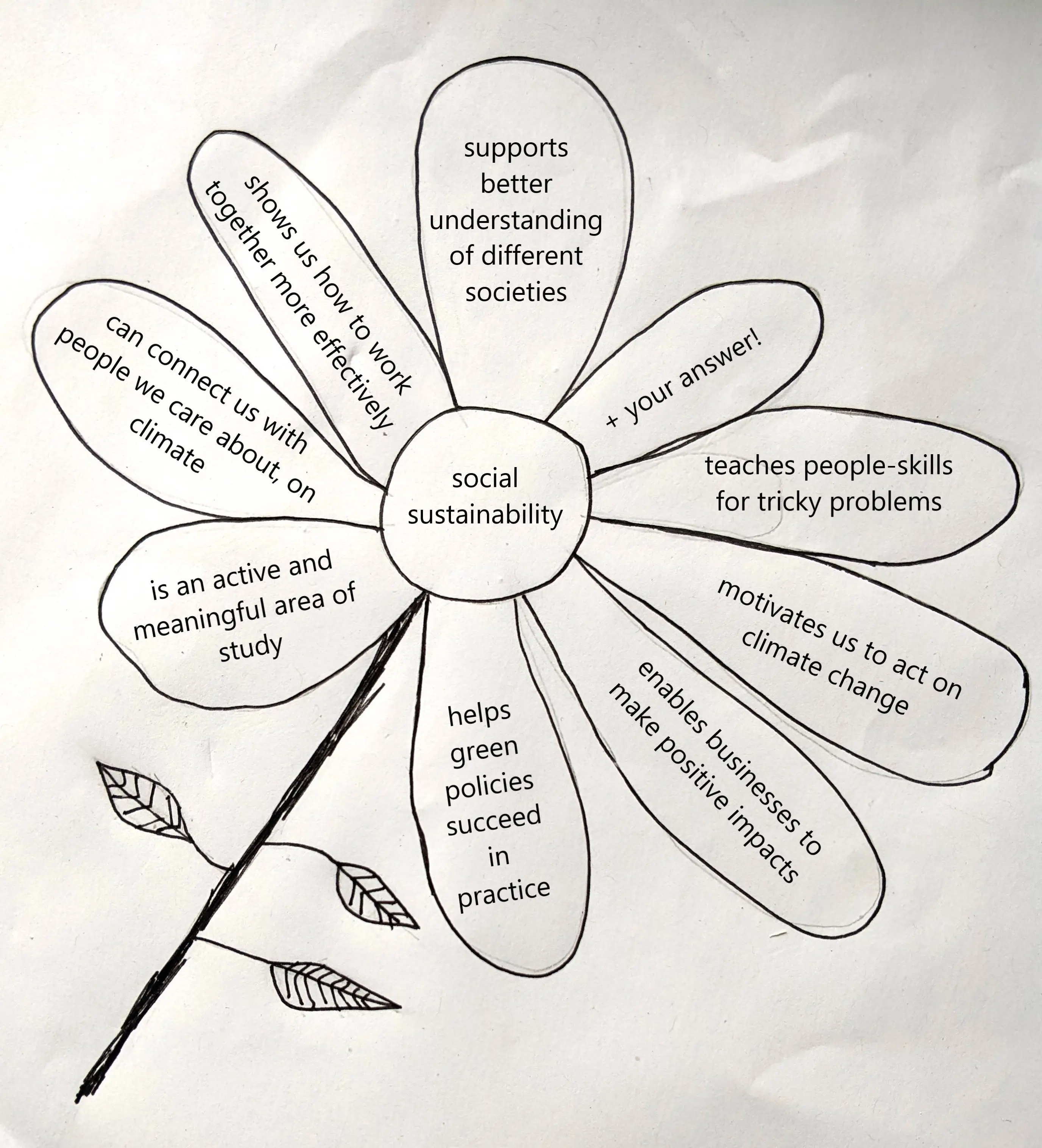drawing of flower with text on the petals drawing of flower with text on the petals